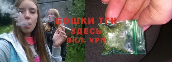индика Переславль-Залесский