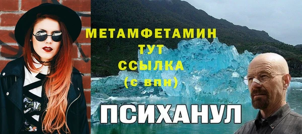 молекула духа Пестово