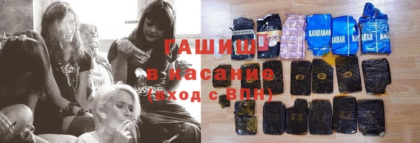 стаф Пересвет